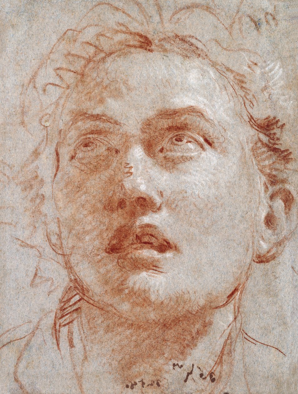 Egy ember feje felnéz, alkotó: Giovanni Battista Tiepolo