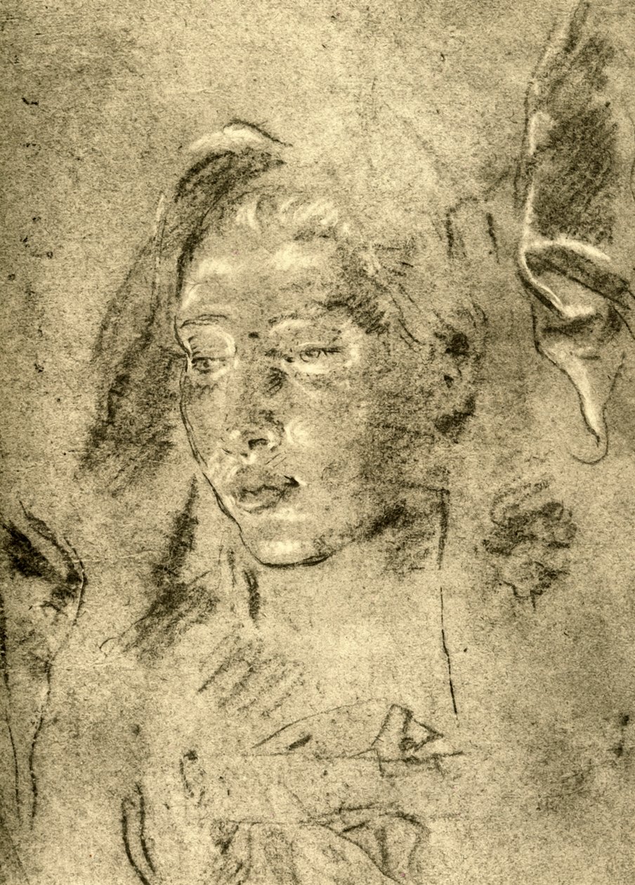 Egy fiatal nő feje, 18. század közepe, 1928 alkotó: Giovanni Battista Tiepolo