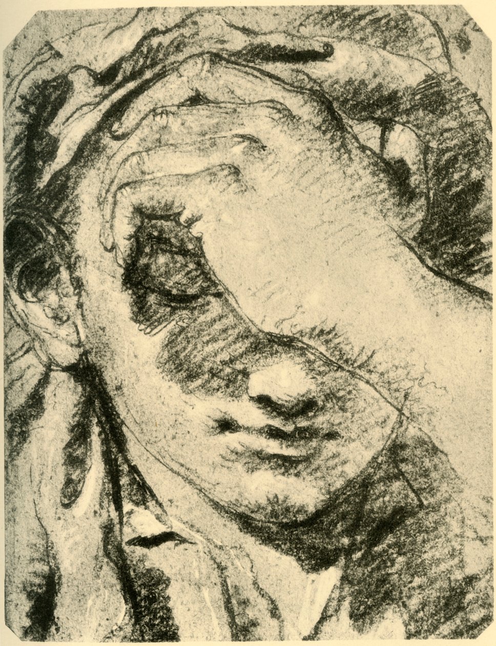 Egy fiatal nő feje, 18. század közepe, 1928 alkotó: Giovanni Battista Tiepolo