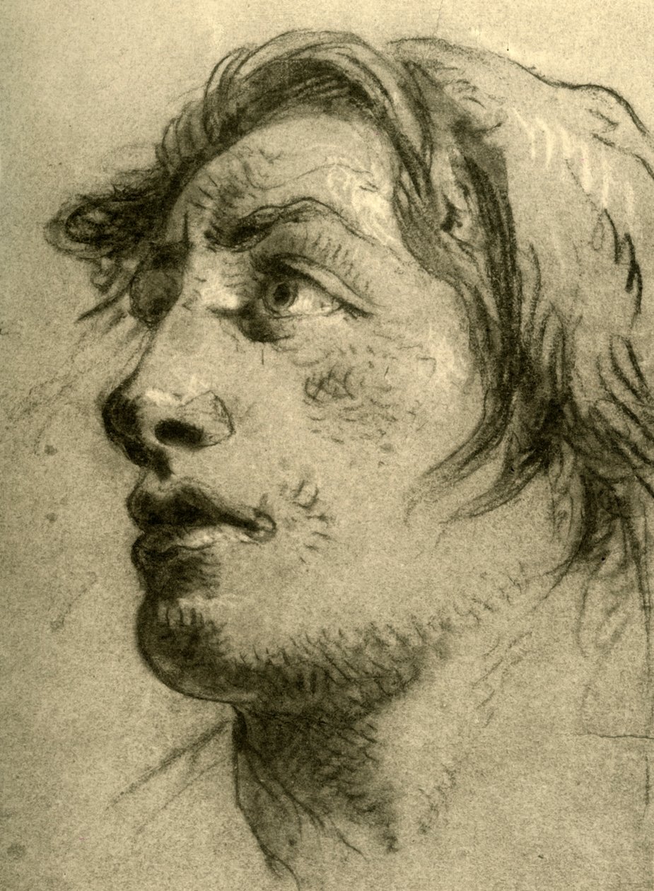 Fiatalok feje, szinte profilból és felfelé nézve, 18. század közepe, 1928 alkotó: Giovanni Battista Tiepolo