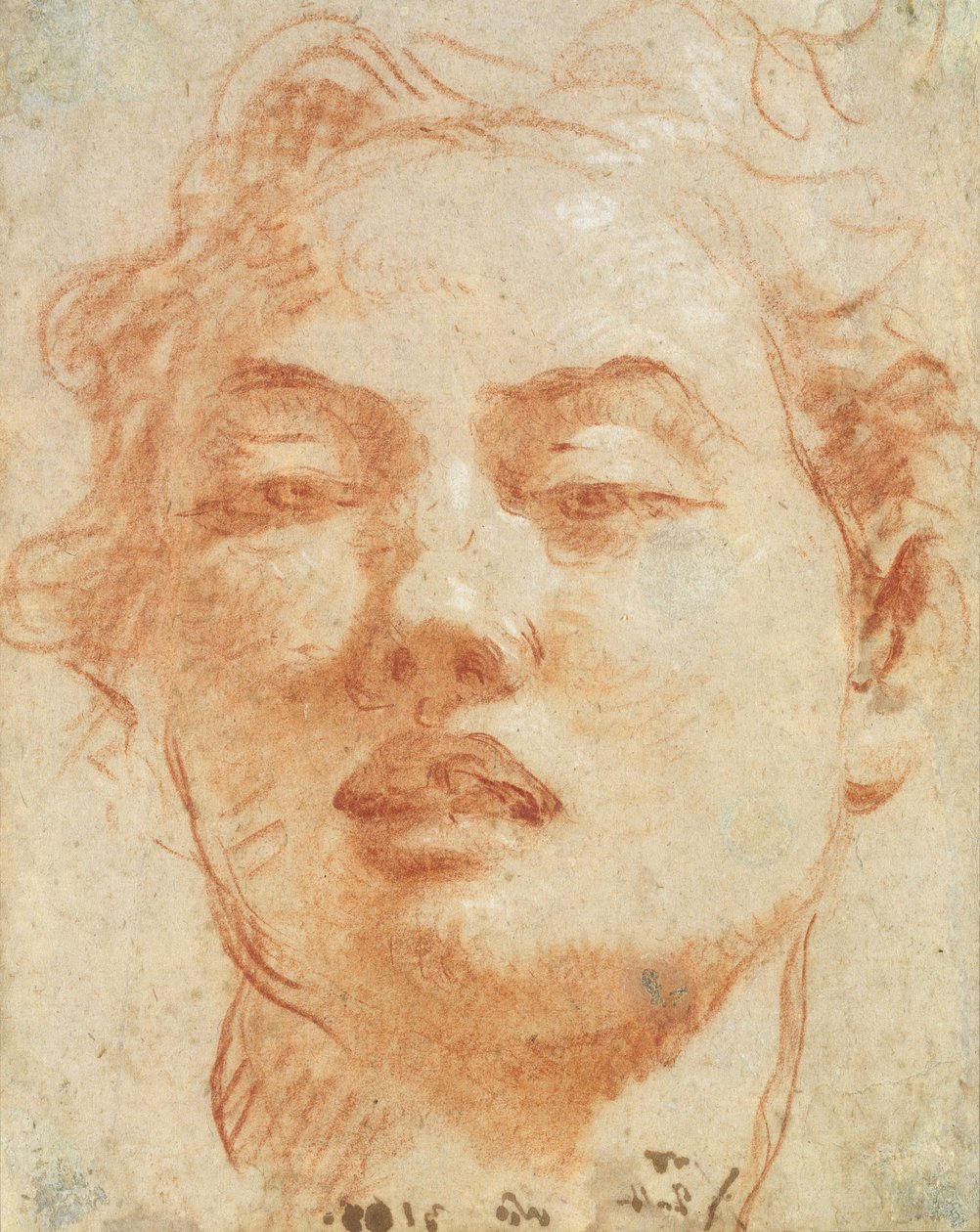 Egy fiatal férfi feje (piros-fehér kréta papíron) alkotó: Giovanni Battista Tiepolo