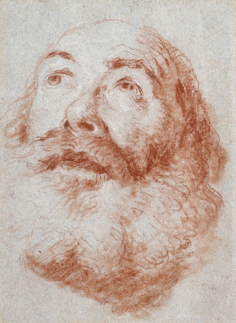 Egy öregember feje felnéz, alkotó: Giovanni Battista Tiepolo