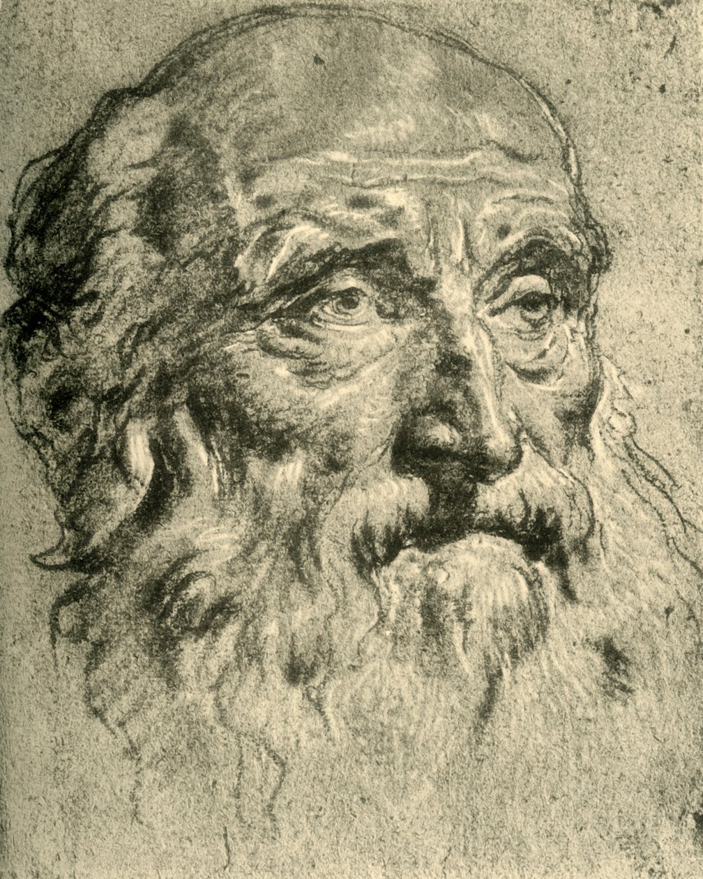 Egy öregember feje, 18. század közepe, 1928 alkotó: Giovanni Battista Tiepolo