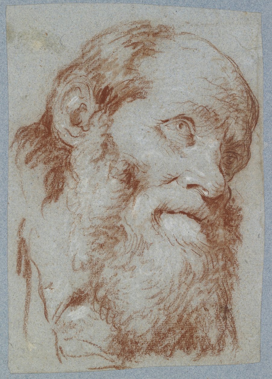Egy idős, szakállas férfi feje (piros kréta, fehérrel érintve, fakó szürkéskék papíron) alkotó: Giovanni Battista Tiepolo