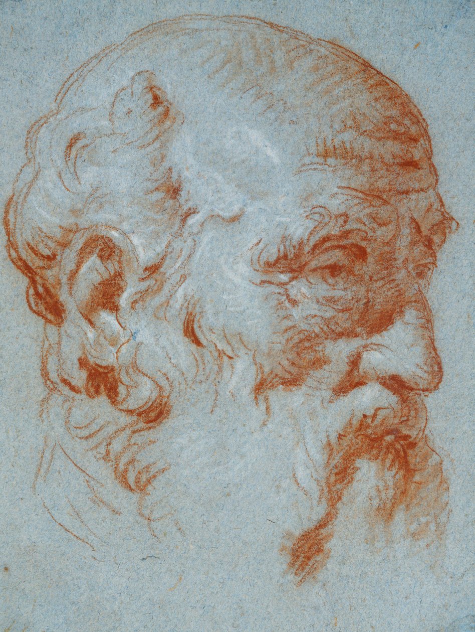 Tanulmány Giulio Contarini mellszobráról balról nézve alkotó: Giovanni Battista Tiepolo