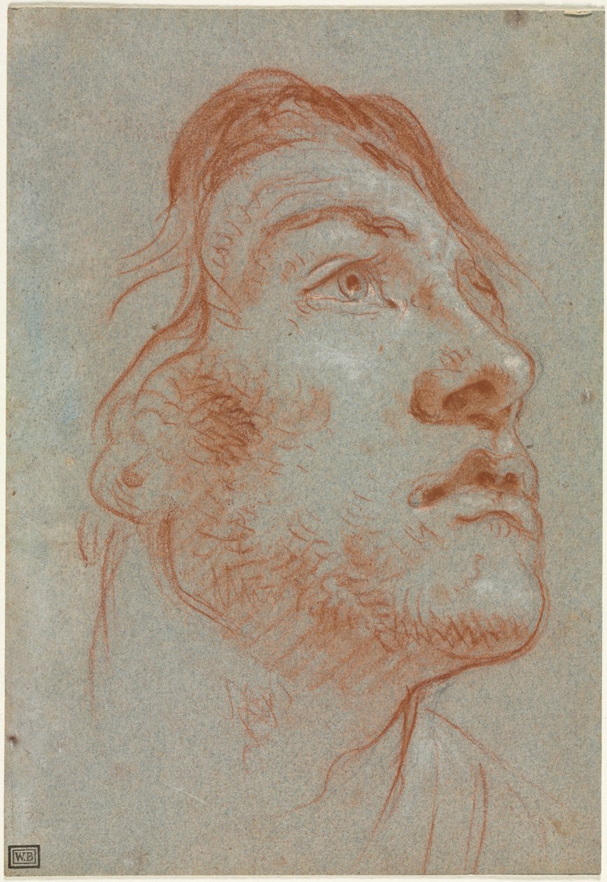 Egy fiatalember feje, aki felfelé néz jobbra, 1752 előtt. alkotó: Giovanni Battista Tiepolo