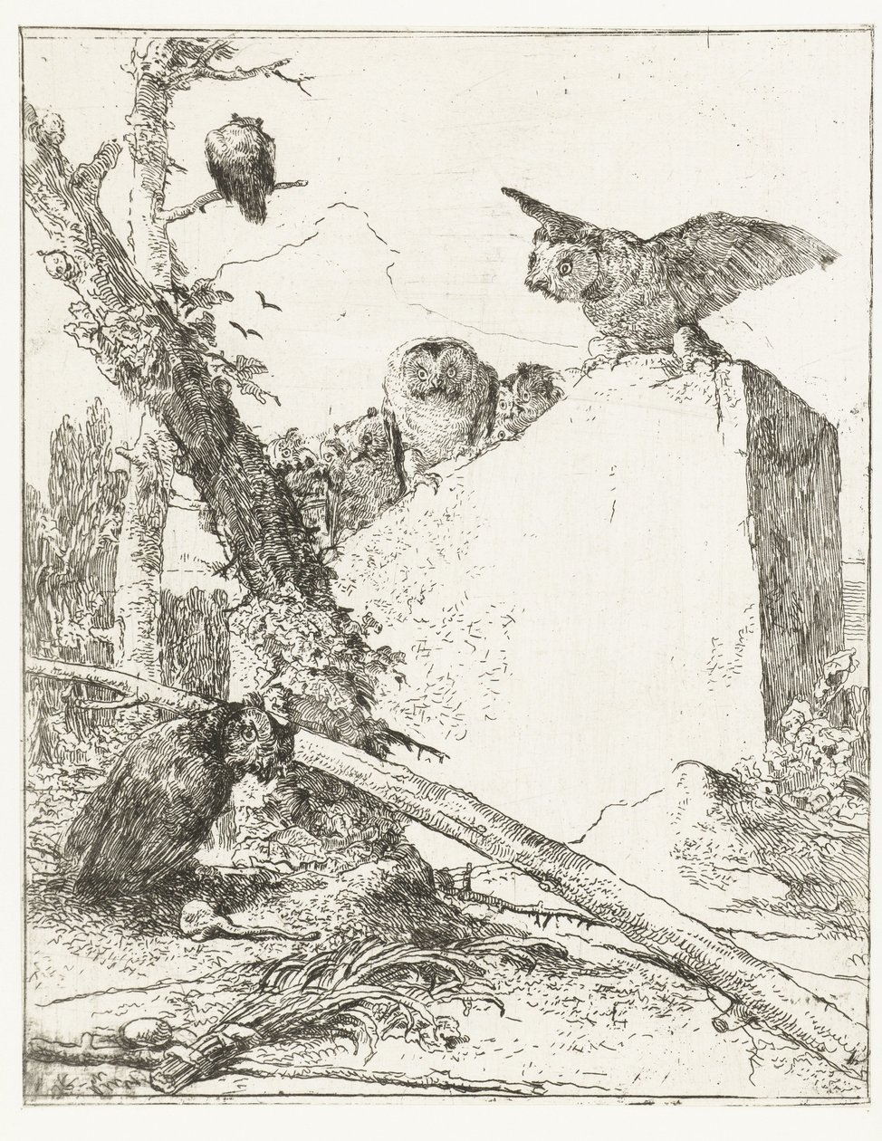 A Scherzi di fantasia címnyomata baglyokkal kő közelében Scherzi di fantasia (sorozat címe) alkotó: Giovanni Battista Tiepolo