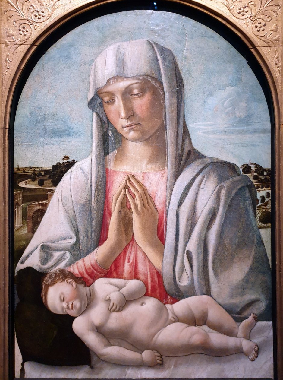 Madonna imádja az alvó gyermeket alkotó: Giovanni Bellini