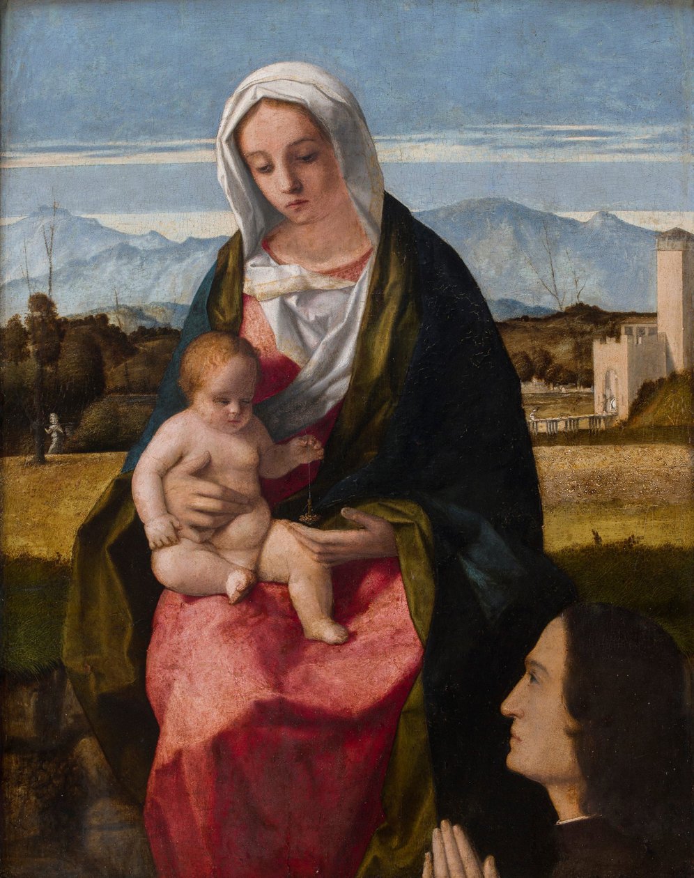 Madonna és gyermeke az adományozóval alkotó: Giovanni Bellini