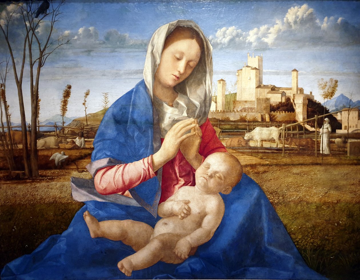 A rét Madonnája alkotó: Giovanni Bellini