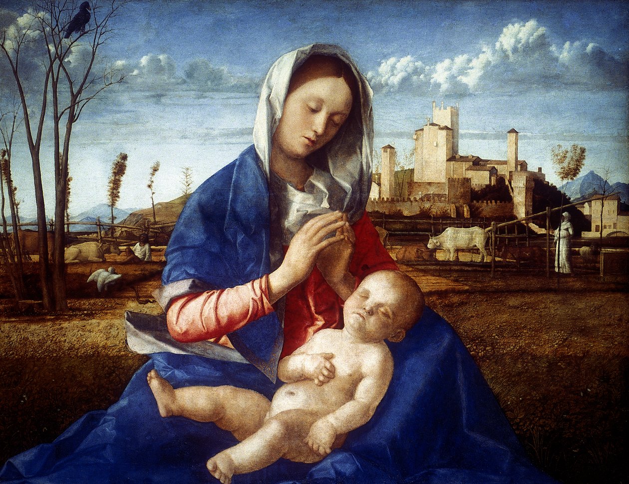 A rét Madonnája, c1500 alkotó: Giovanni Bellini