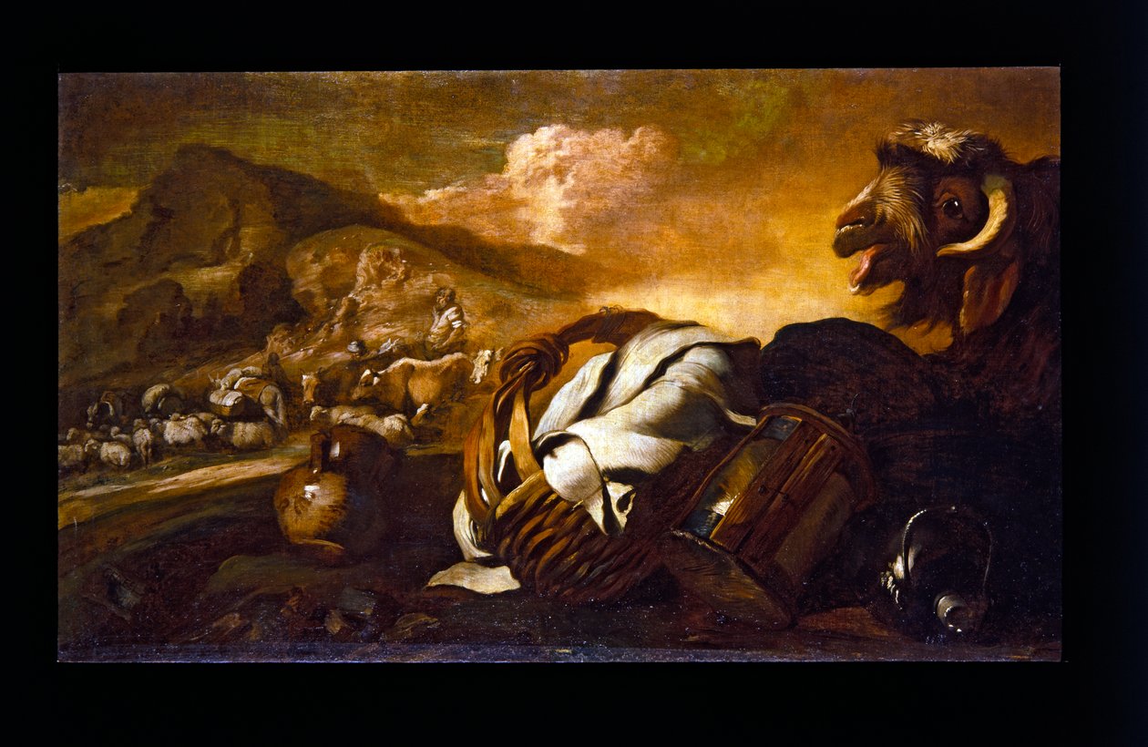 Csendélet kecskével alkotó: Giovanni Benedetto (1609 64) Castiglione