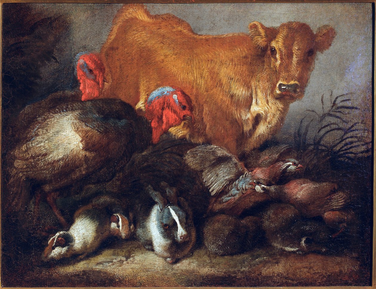 Állatok tanulmányozása Tehén, pulyka, nyúl, Giovanni Benedetto Castiglione dit il Grechetto festménye (1610-1665) Méret: 30x38,5 cm Gének, Musei di Strada Nuova alkotó: Giovanni Benedetto Castiglione