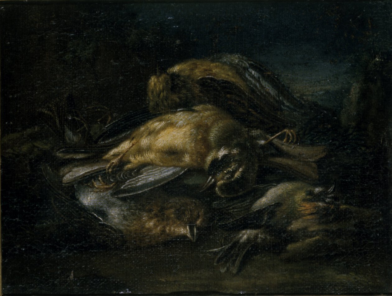 Döglött madár, 1664 alkotó: Giovanni Benedetto Castiglione