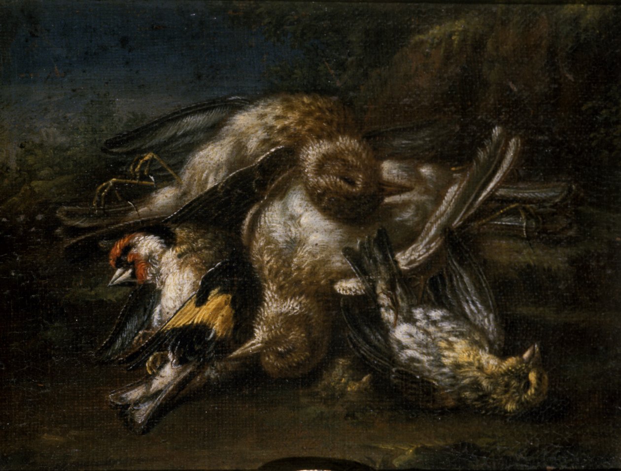 Dead Birds (olaj hársfán) alkotó: Giovanni Benedetto Castiglione