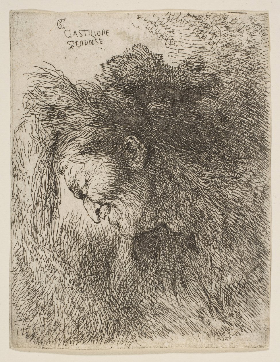 Egy öregember feje lefelé néz, balra néz, a Kis fejek sorozatból, kb. 1645-1650. alkotó: Giovanni Benedetto Castiglione