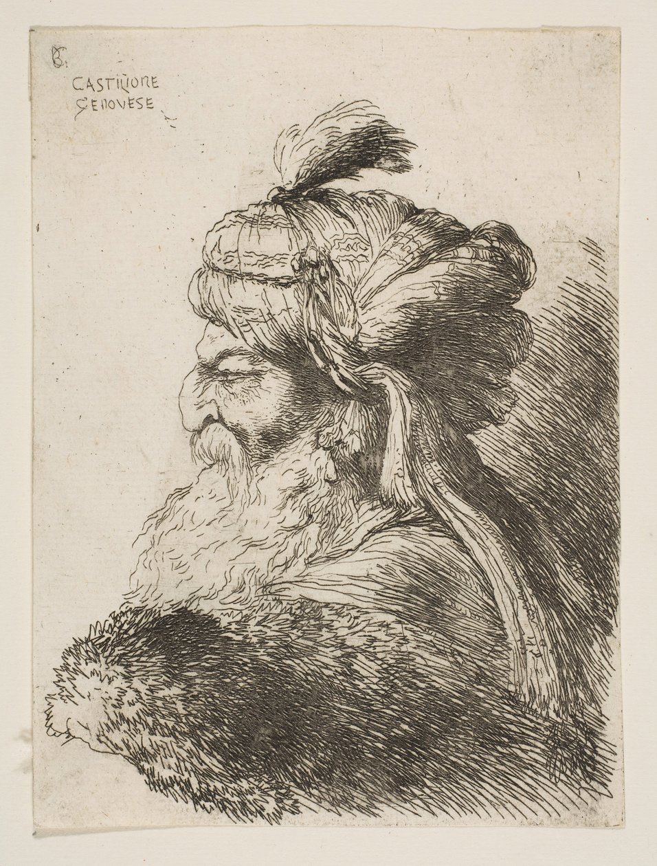 Egy idős férfi feje, balra néző turbánnal, a Kis fejek sorozatból, kb. 1645-1650. alkotó: Giovanni Benedetto Castiglione