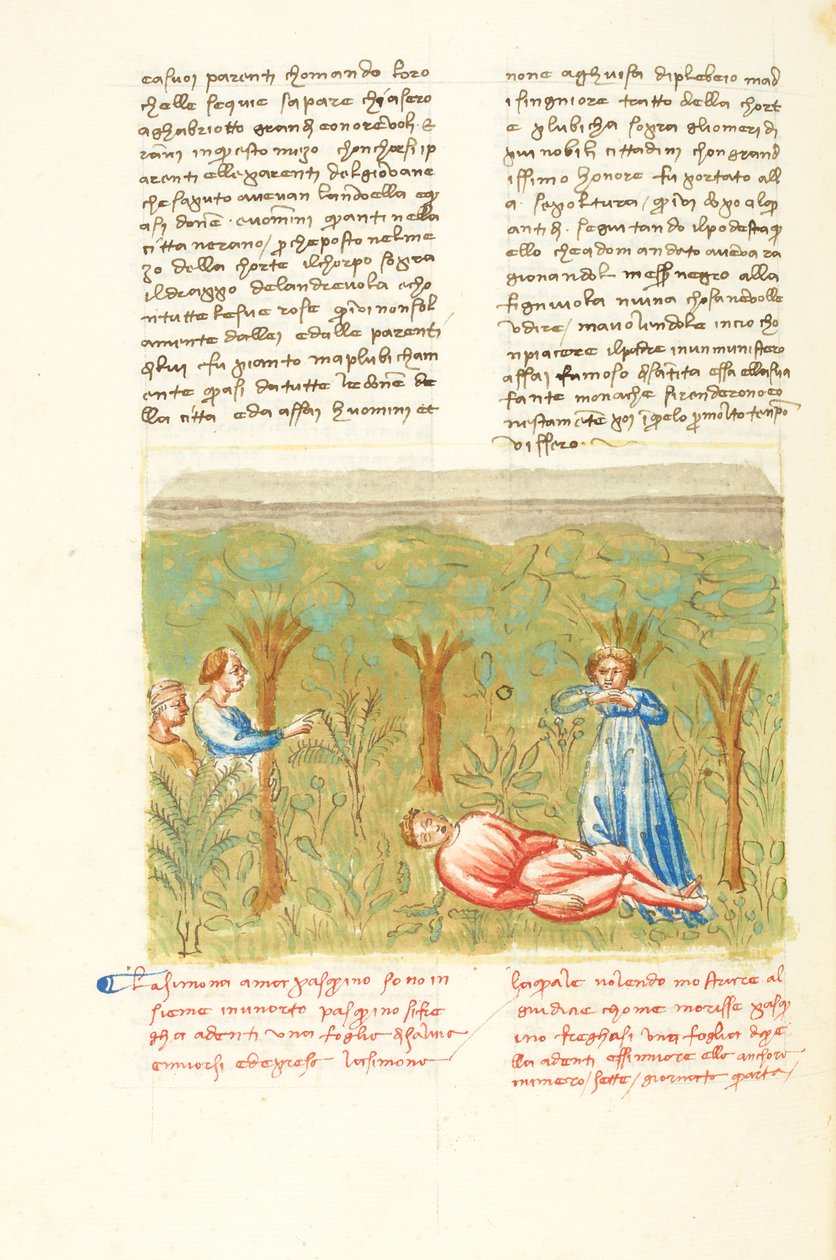 Dekameron, A bölcs növény - Pasquino halála , Negyedik nap, novella 7. alkotó: Giovanni Boccaccio