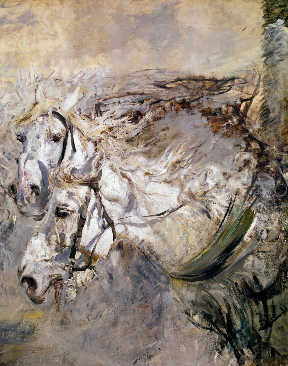 Giovanni Boldini (1842-1931) festménye két fehér lóról 1874 Méret: 153x122 cm Pistoia, Boldini Collection alkotó: Giovanni Boldini