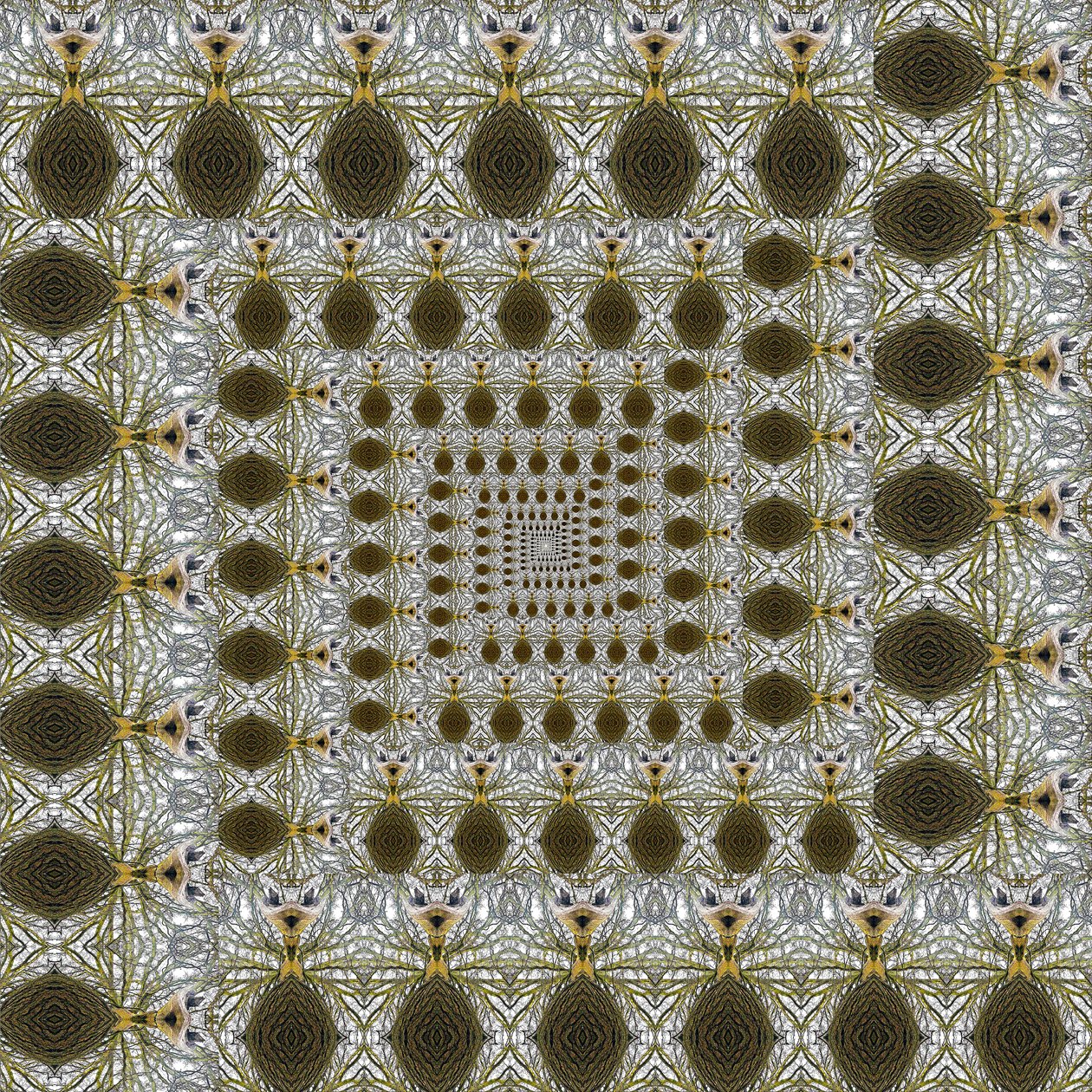 Természetellenes 105 (digitálisan manipulált fotó) alkotó: Giovanni Cafagna