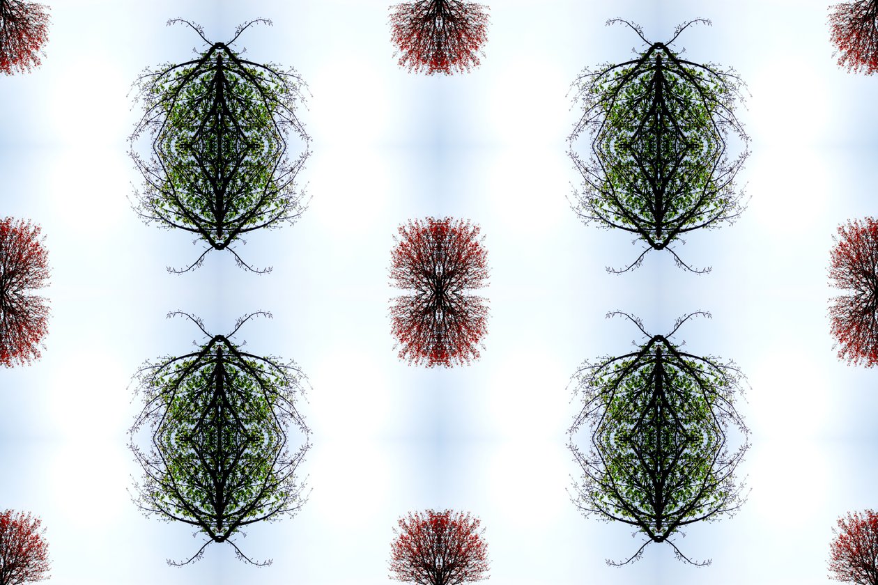 Természetellenes 110 (digitálisan manipulált fotó) alkotó: Giovanni Cafagna