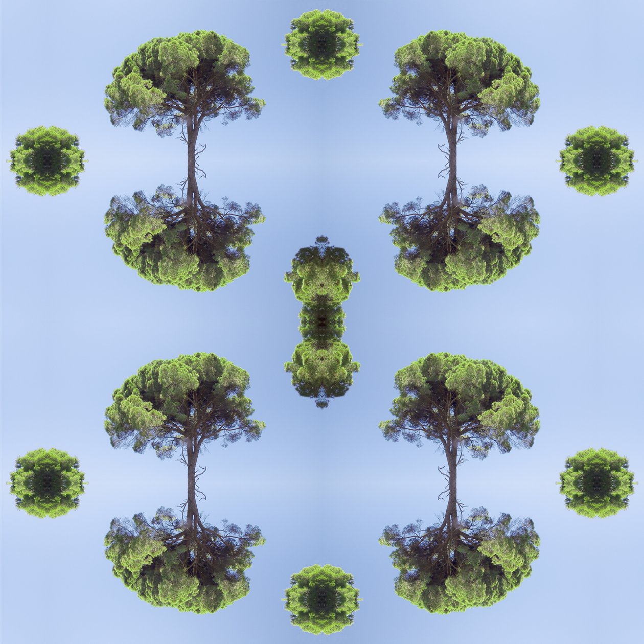 Természetellenes 118 (digitálisan manipulált fotó) alkotó: Giovanni Cafagna
