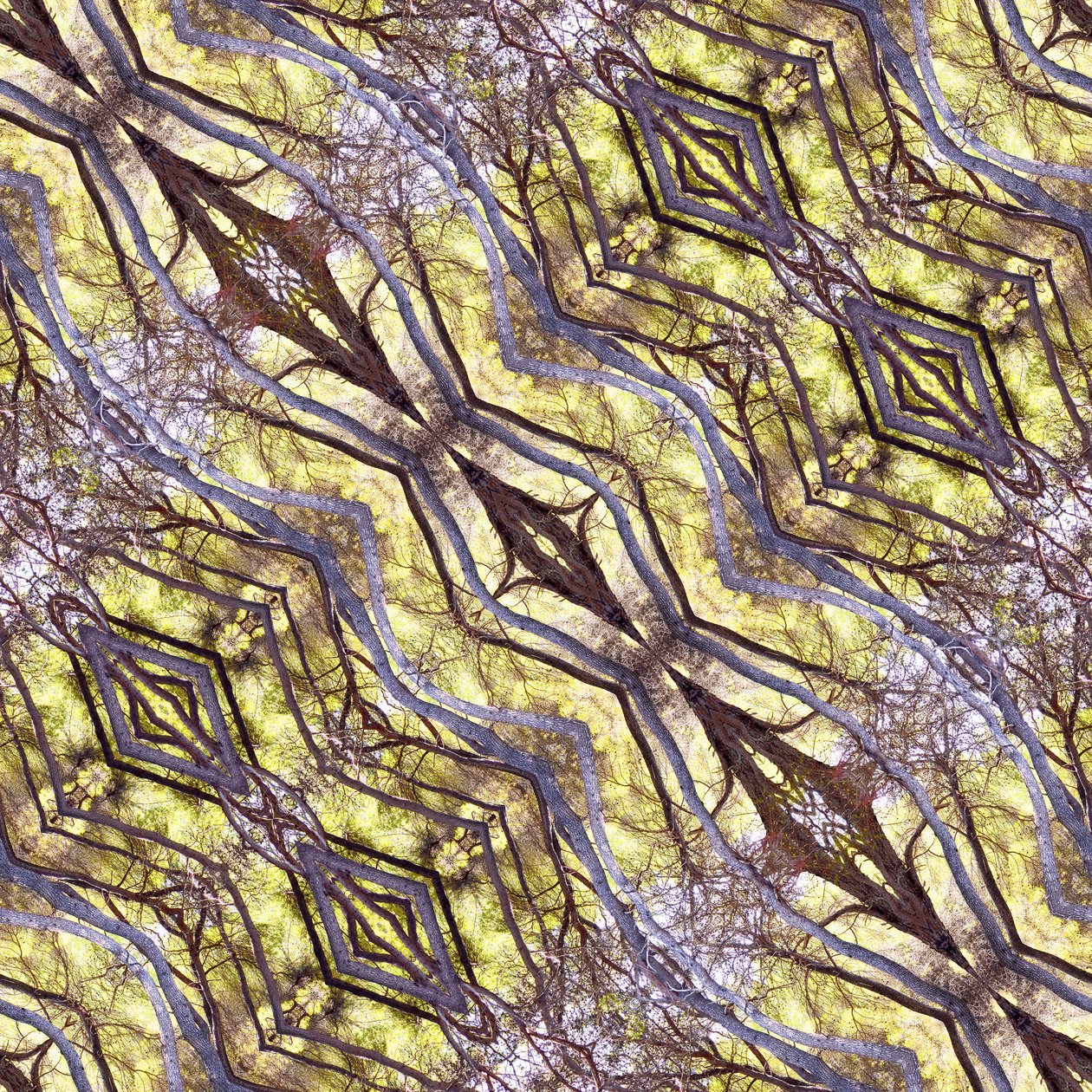 Természetellenes 120.1 (digitálisan manipulált fotó) alkotó: Giovanni Cafagna