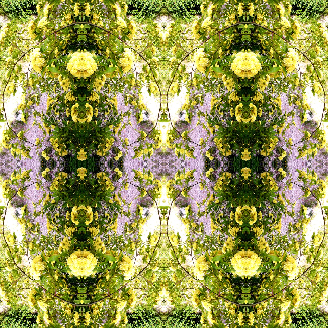 Természetellenes 150 (digitálisan manipulált fotó) alkotó: Giovanni Cafagna