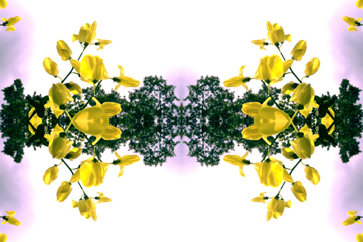 Természetellenes 151.2 (digitálisan manipulált fotó) alkotó: Giovanni Cafagna