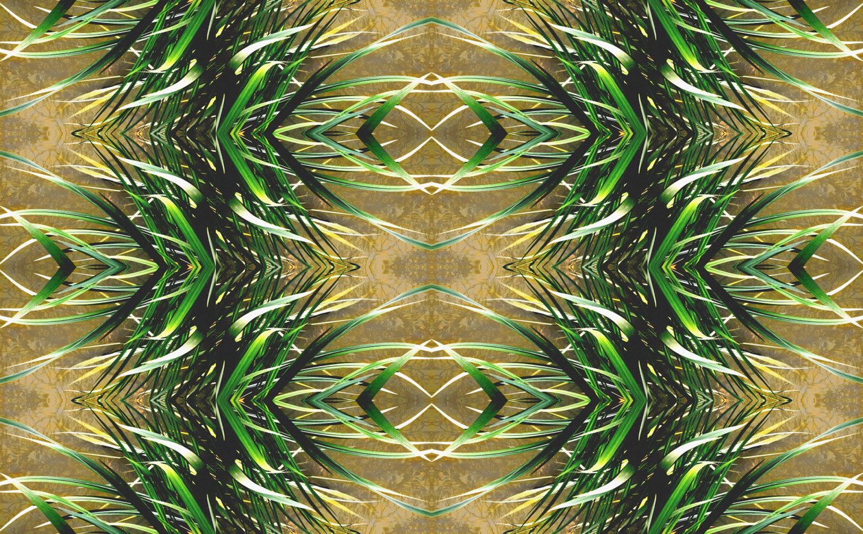 Természetellenes 16 (digitálisan manipulált fotó) alkotó: Giovanni Cafagna