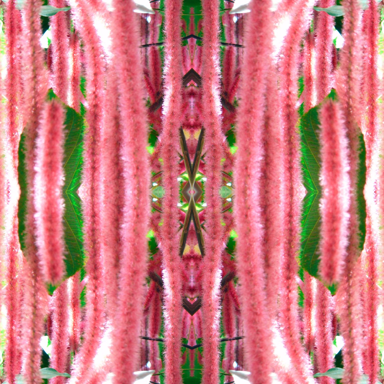 Természetellenes 172 (digitálisan manipulált fotó) alkotó: Giovanni Cafagna