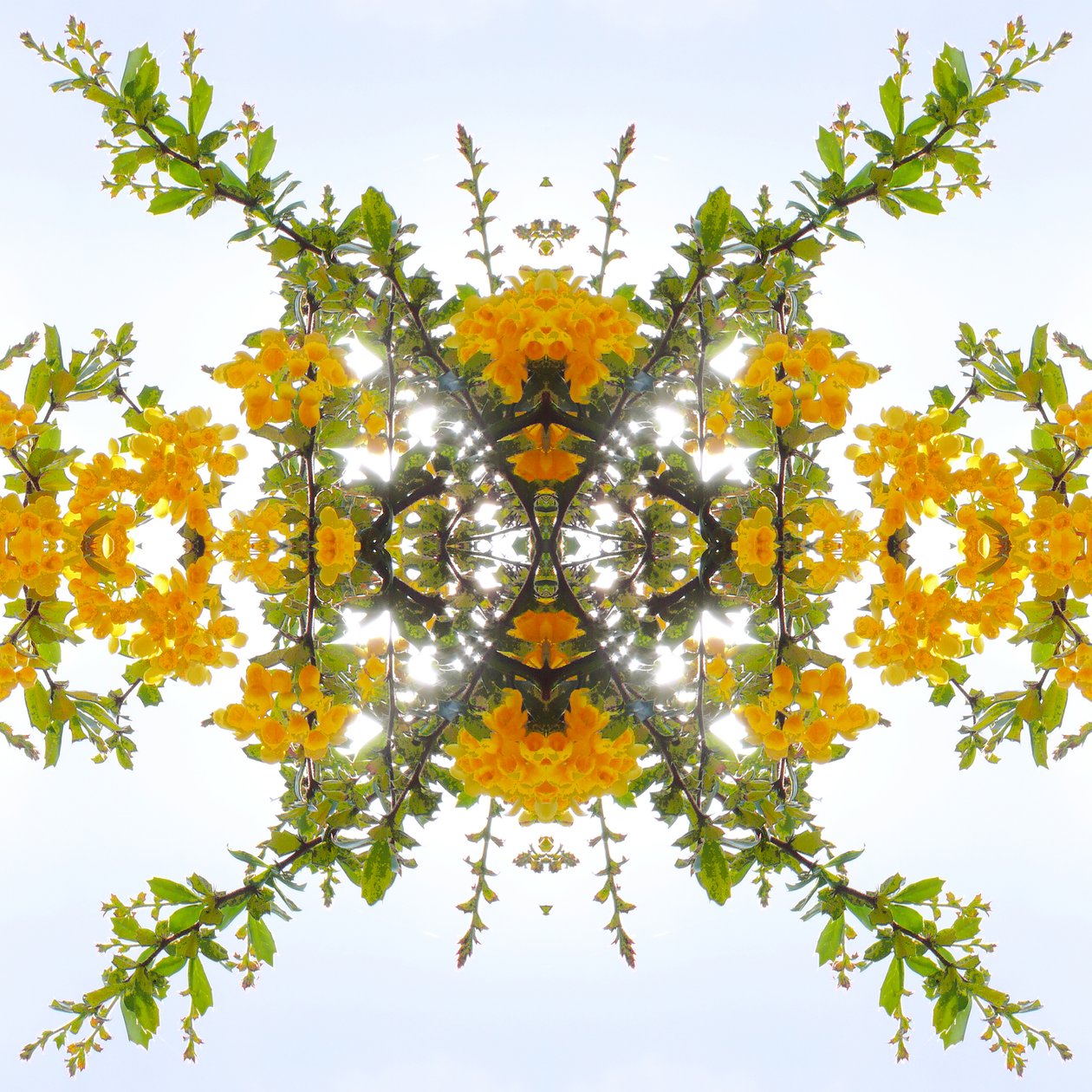 Természetellenes 175 (digitálisan manipulált fotó) alkotó: Giovanni Cafagna