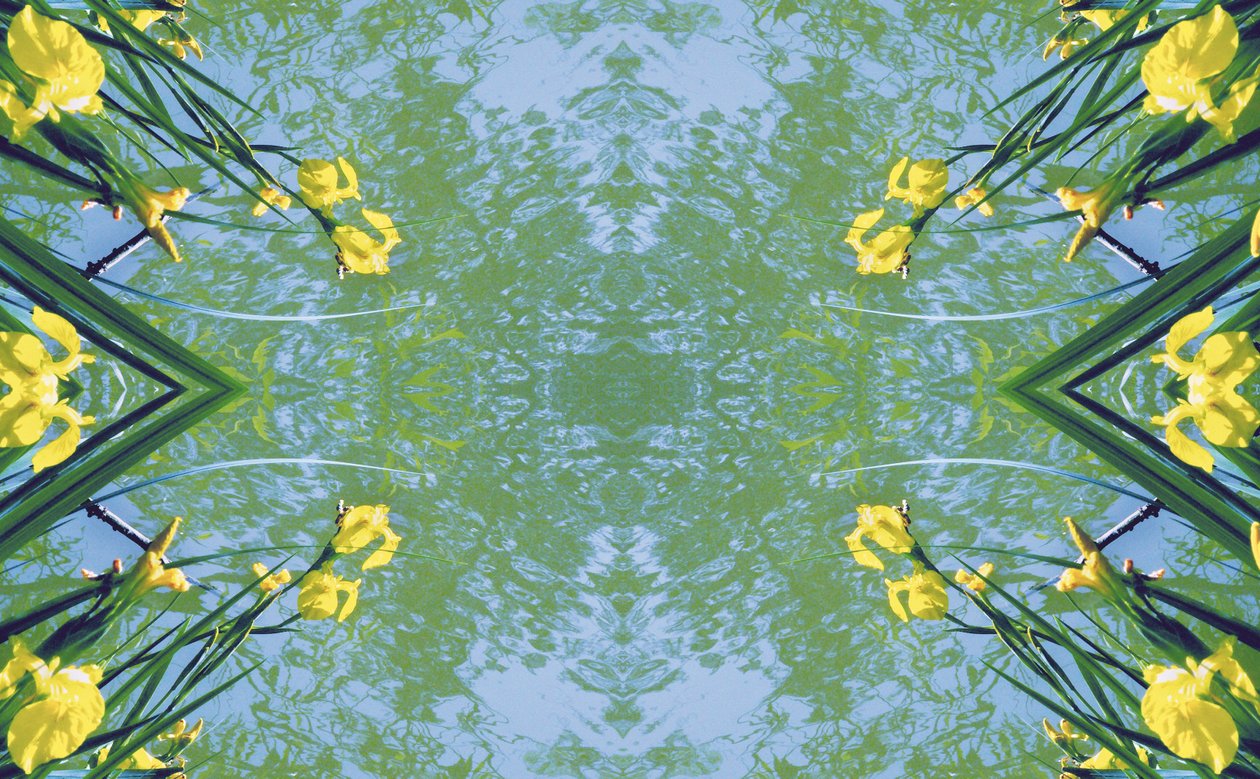 Természetellenes 17 (digitálisan manipulált fotó) alkotó: Giovanni Cafagna