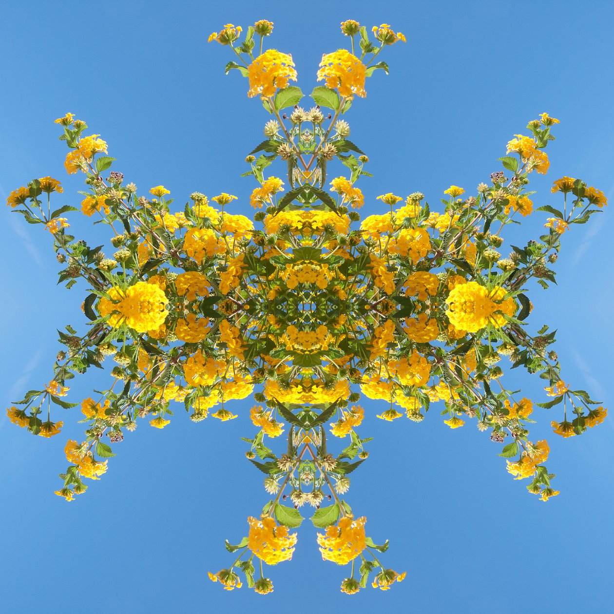 Természetellenes 193 (digitálisan manipulált fotó) alkotó: Giovanni Cafagna