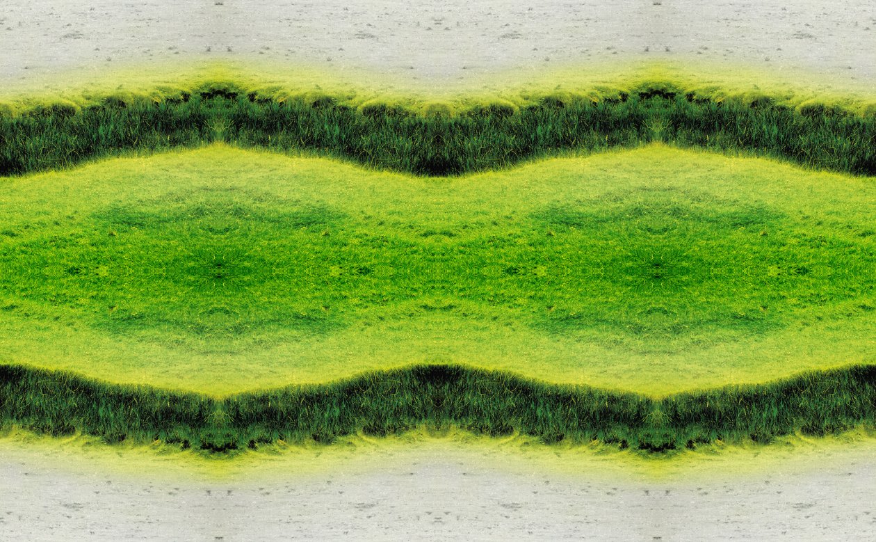 Természetellenes 2.1 (digitálisan manipulált fotó) alkotó: Giovanni Cafagna