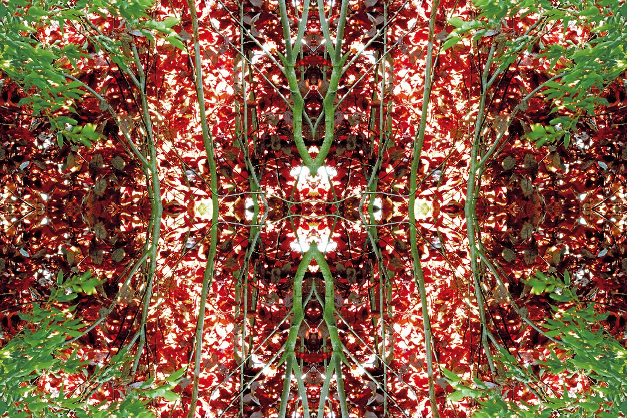 Természetellenes 23 (digitálisan manipulált fotó) alkotó: Giovanni Cafagna