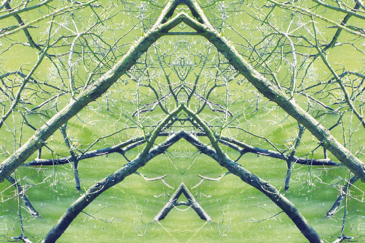 Természetellenes 30 (digitálisan manipulált fotó) alkotó: Giovanni Cafagna