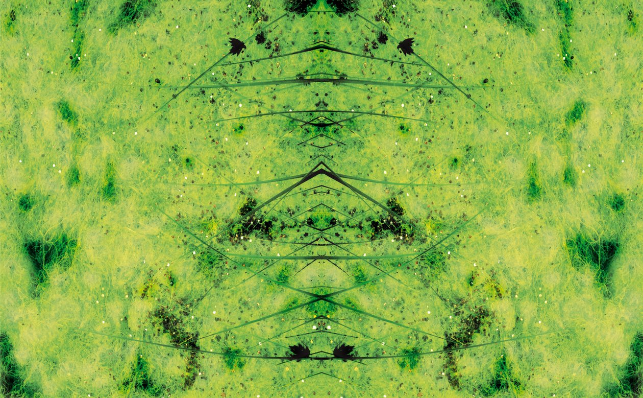 Természetellenes 3 (digitálisan manipulált fotó) alkotó: Giovanni Cafagna