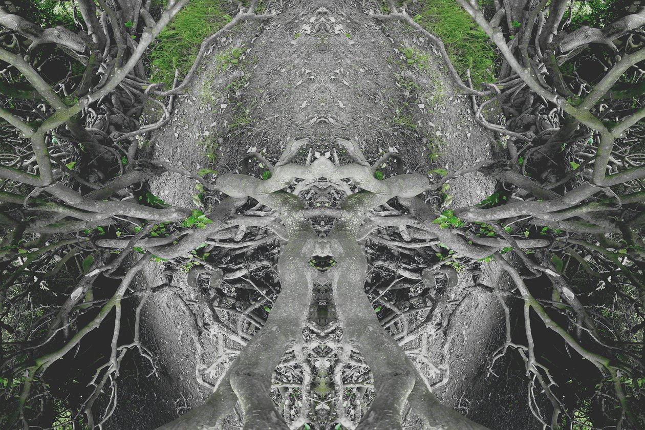 Természetellenes 42 (digitálisan manipulált fotó) alkotó: Giovanni Cafagna
