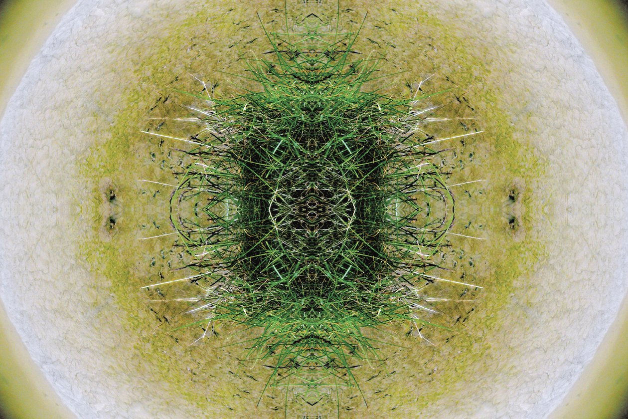 Természetellenes 6.1 (digitálisan manipulált fotó) alkotó: Giovanni Cafagna