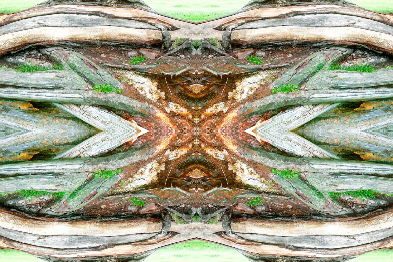 Unnatural 64 (digitálisan manipulált fotó) alkotó: Giovanni Cafagna