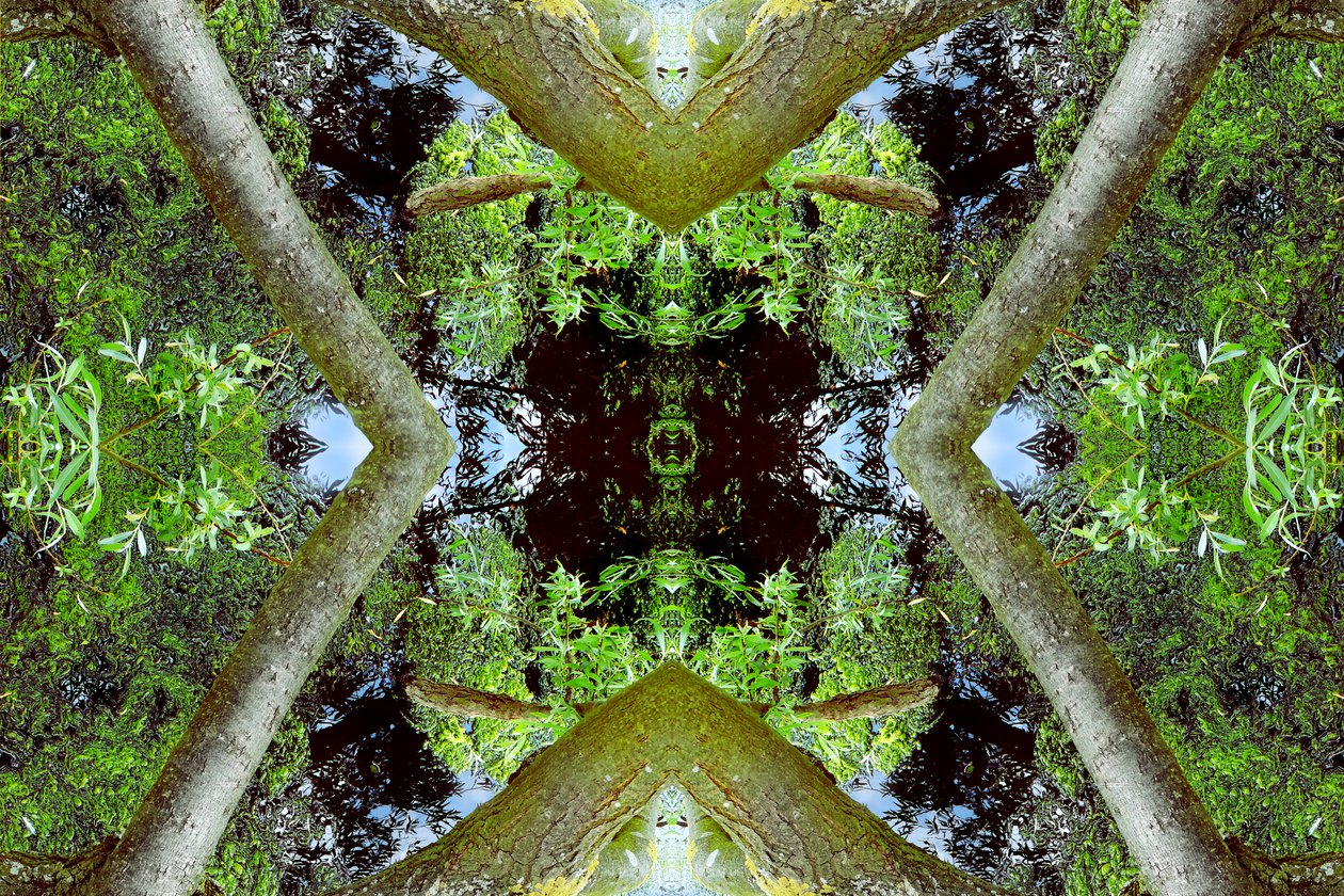 Természetellenes 65.3 (digitálisan manipulált fotó) alkotó: Giovanni Cafagna
