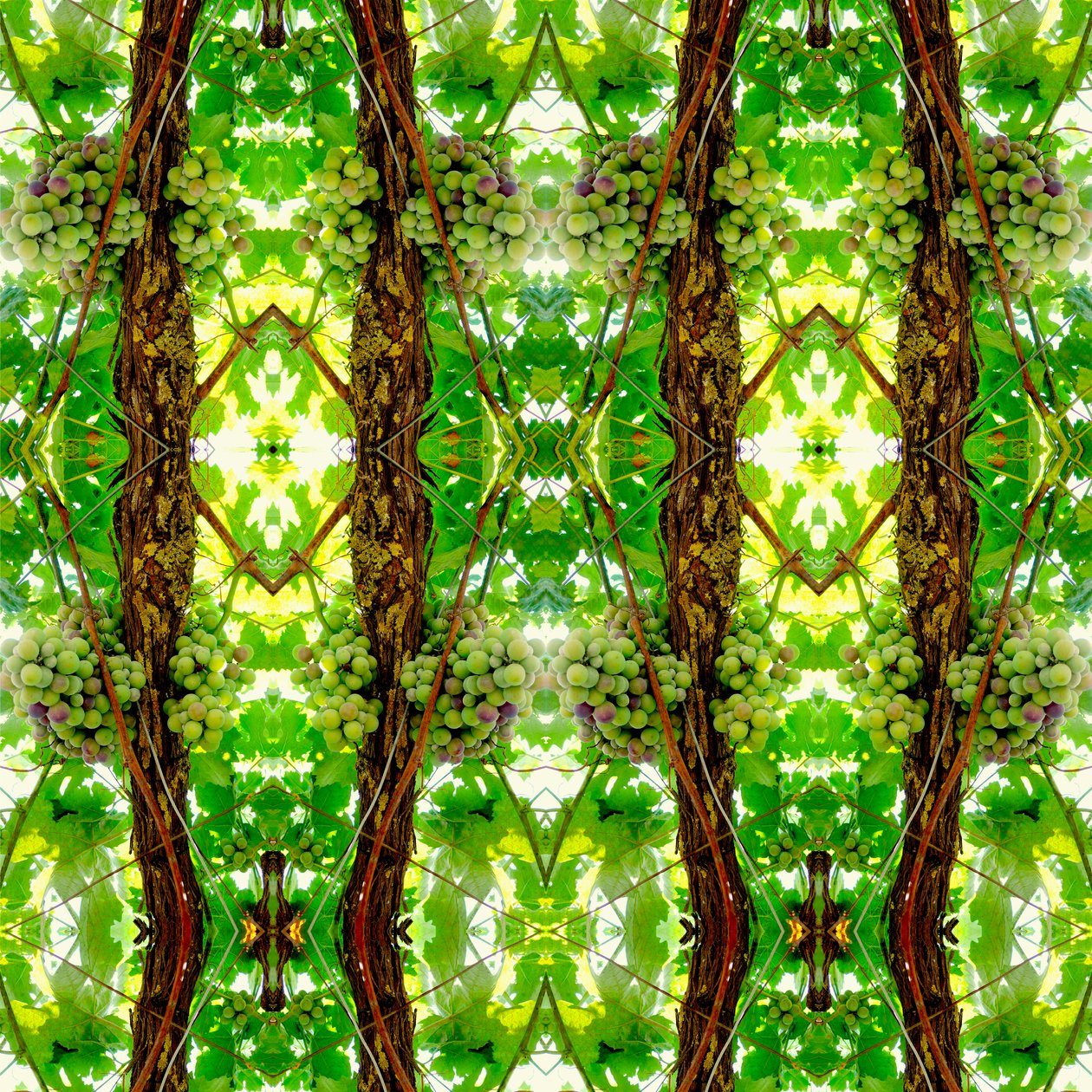 Unnatural 74 (digitálisan manipulált fotó) alkotó: Giovanni Cafagna