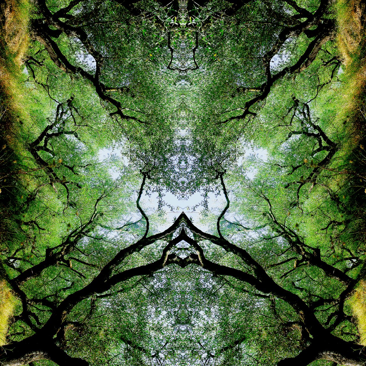 Unnatural 75 (digitálisan manipulált fotó) alkotó: Giovanni Cafagna