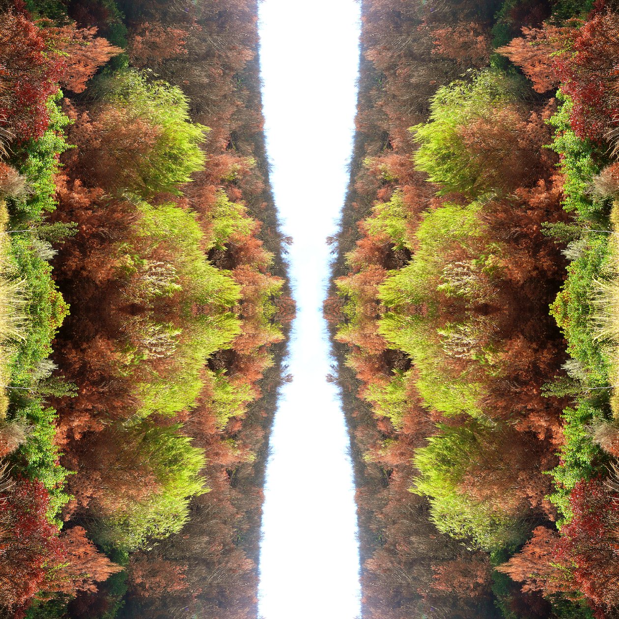 Unnatural 77 (digitálisan manipulált fotó) alkotó: Giovanni Cafagna