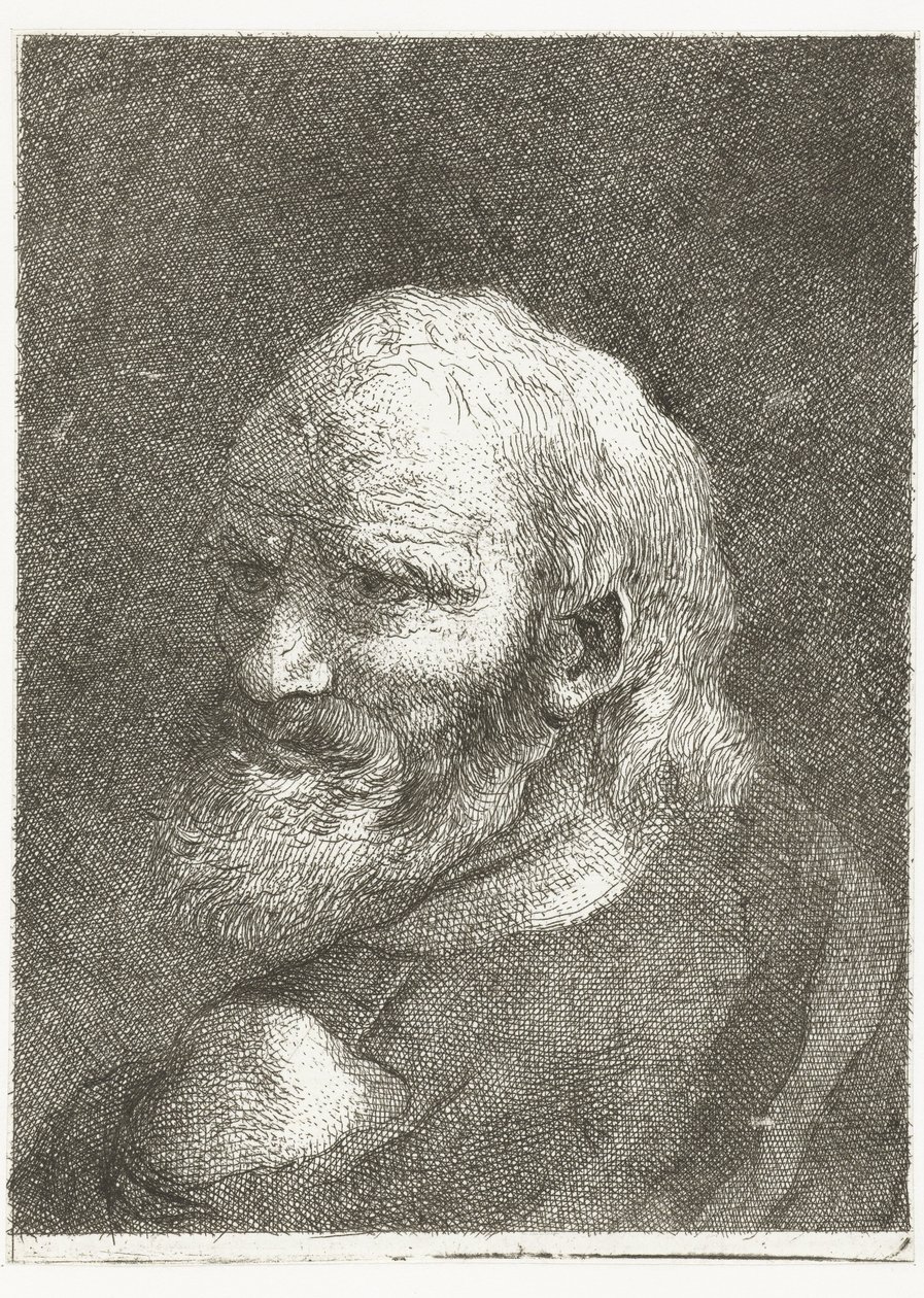 Férfi csupasz váll Fejgyűjtemény (sorozat címe) Raccolta di Teste (sorozat címe) alkotó: Giovanni Domenico Tiepolo