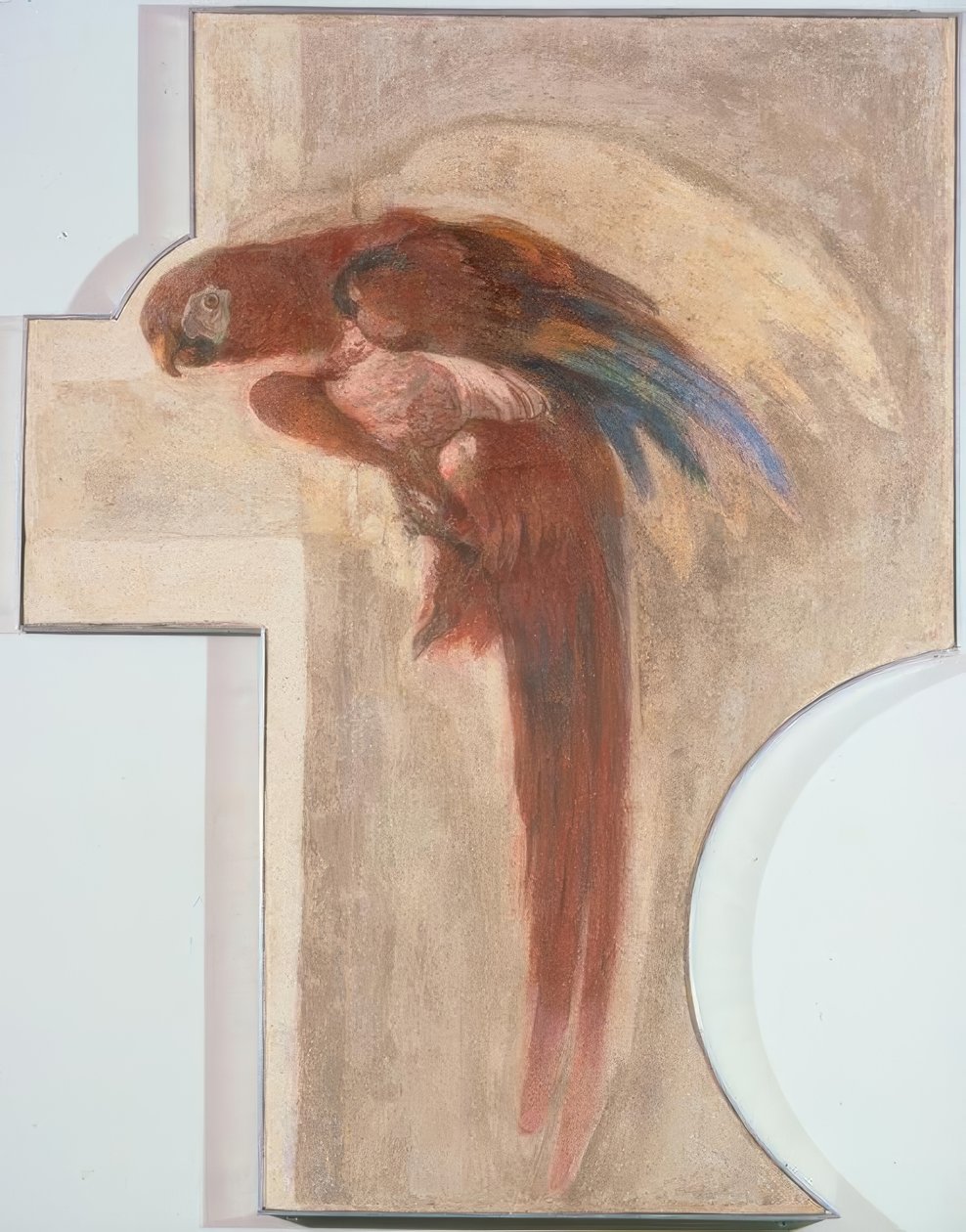 papagáj alkotó: Giovanni Domenico Tiepolo