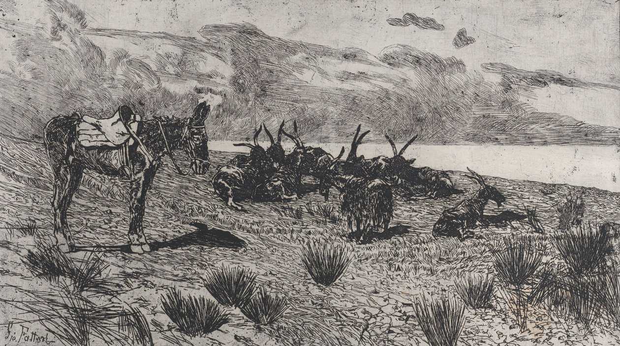 Szamár és kecske a tengerparton télen, 1884-1908. alkotó: Giovanni Fattori