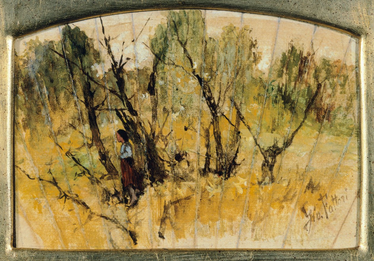 Erdő figurával, Tanulmány egy rajongóról, Giovanni Fattori, olaj, papír, vászon alkotó: Giovanni Fattori