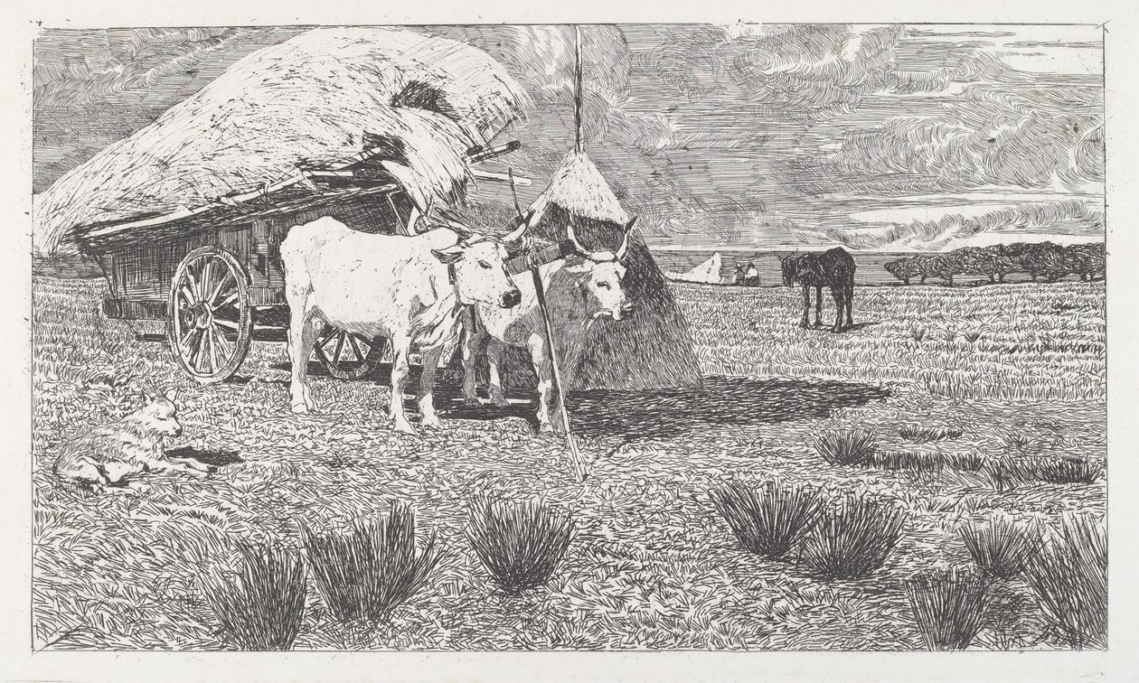 Szekér elé fogott ökrök (Maremma) alkotó: Giovanni Fattori